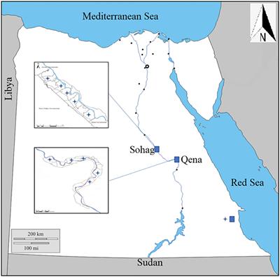 Molecular detection and characterization of Anaplasma marginale infecting cattle, buffalo, and camel populations in southern Egypt